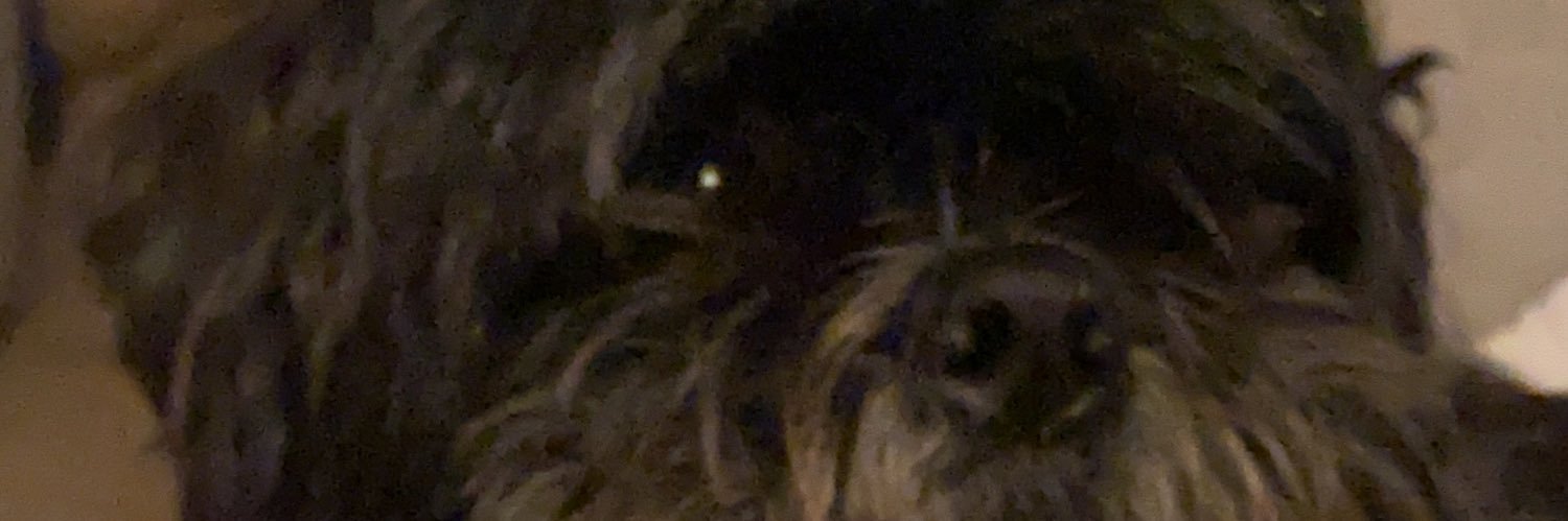 Lular's profile banner image