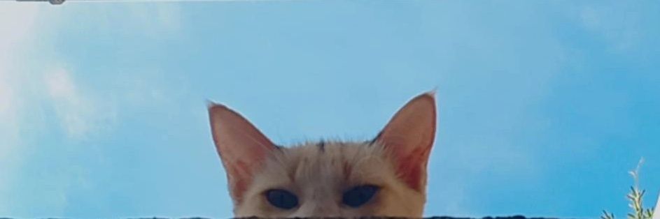 3adomg's profile banner image