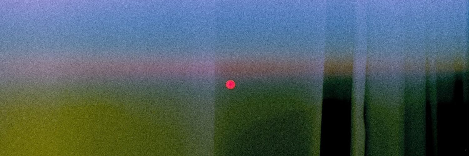 felignea's profile banner image