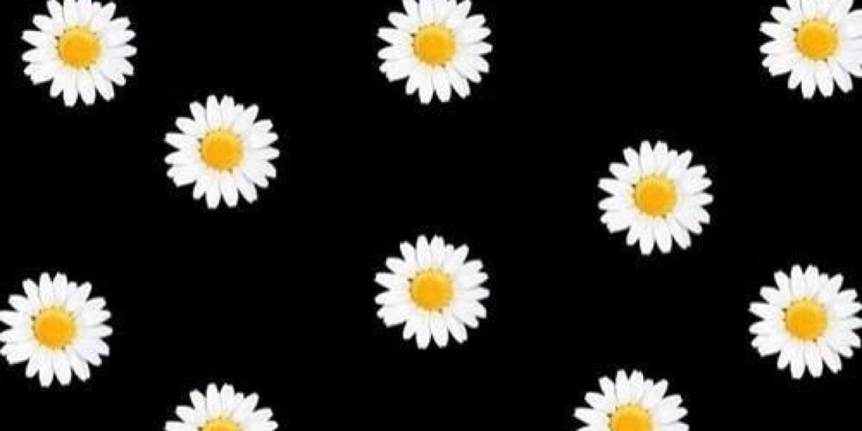 pixieconvey's profile banner image