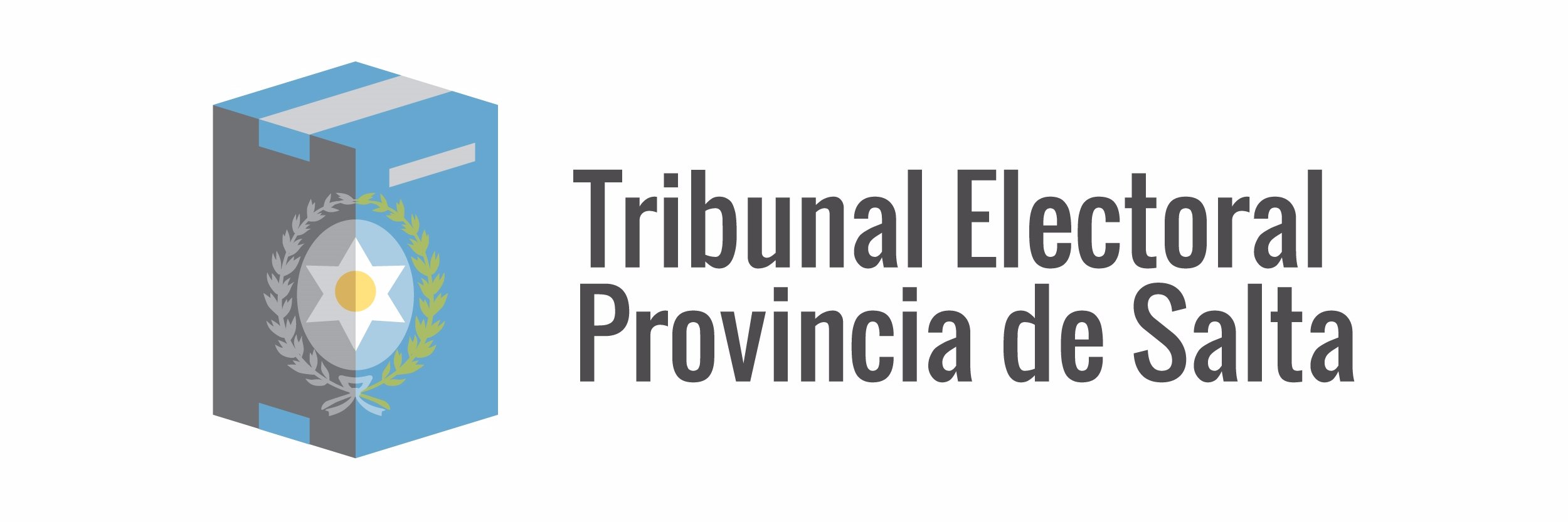 Electoral Salta banner