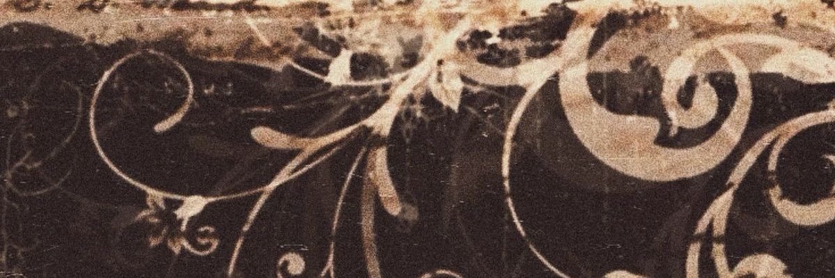 stvreeeee's profile banner image