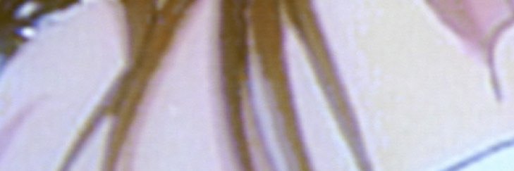 down2thariver's profile banner image