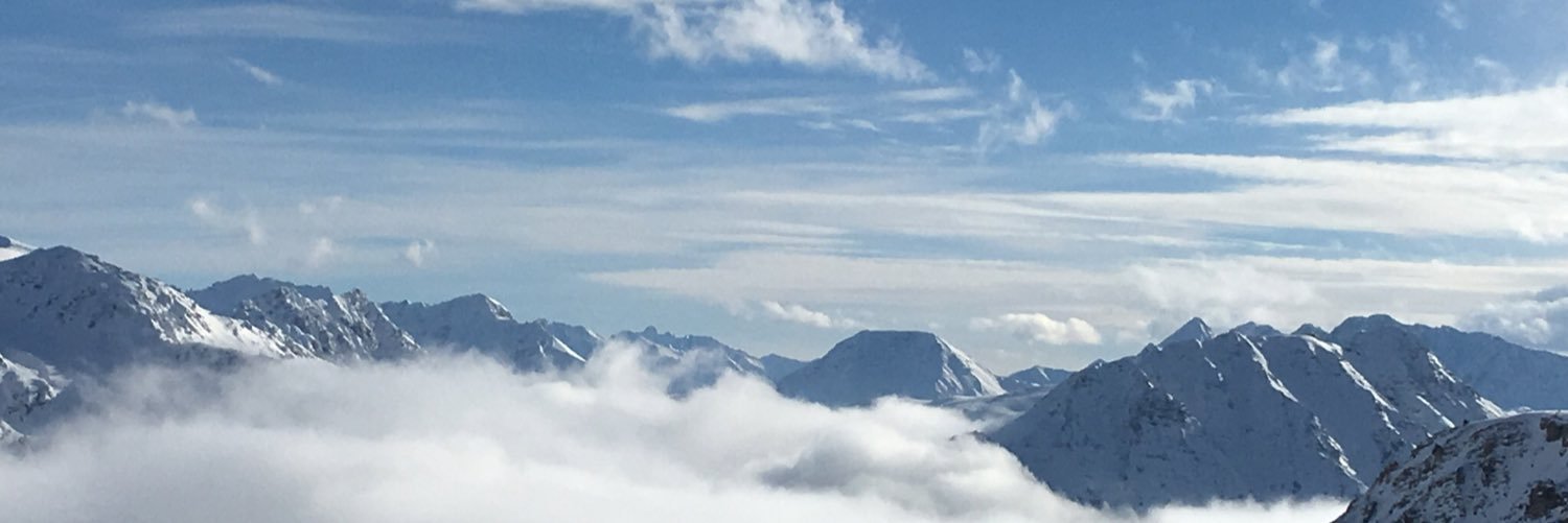 Aida DE FARIA banner