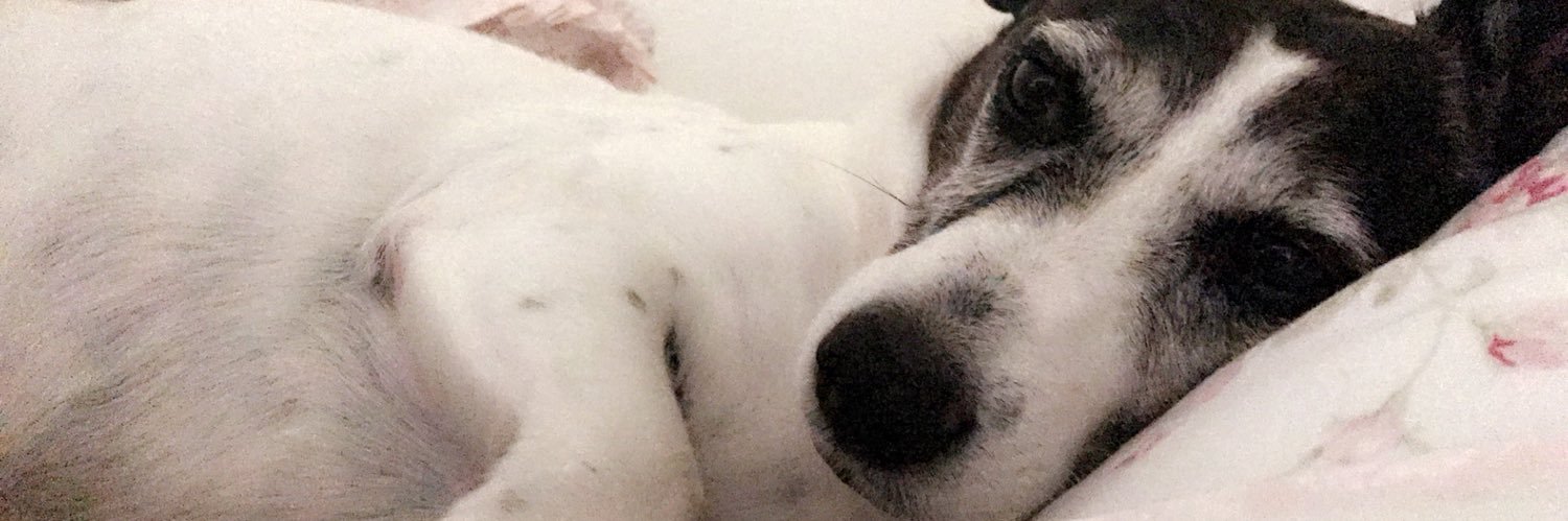 lexbutler_'s profile banner image