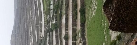 محمد ناصر banner