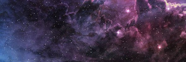 nesetozu Profile Banner