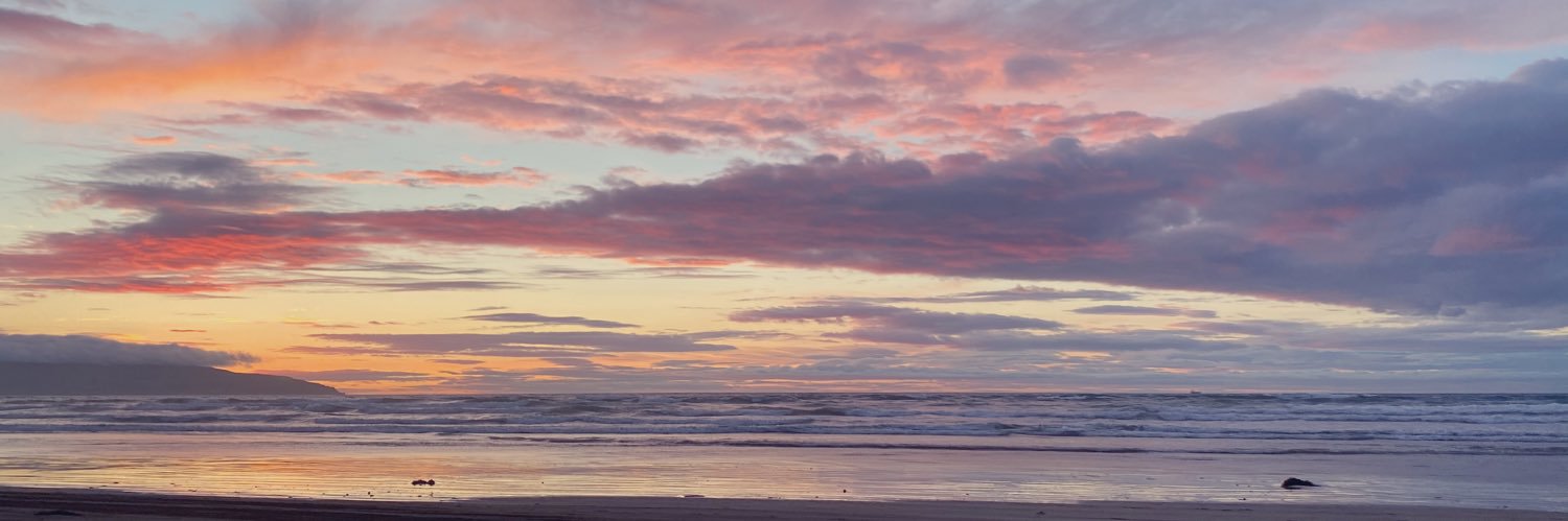 Emily McClelland banner