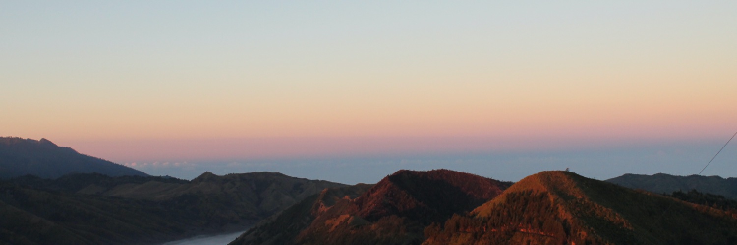 delinaevans's profile banner image