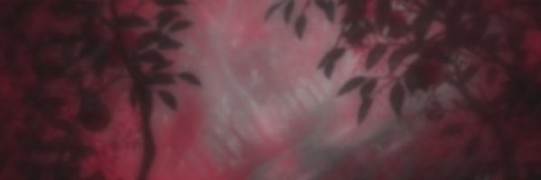 ROTTENMIRR0R Profile Banner