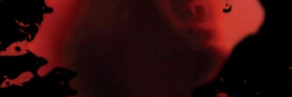 FaepireWarlow Profile Banner