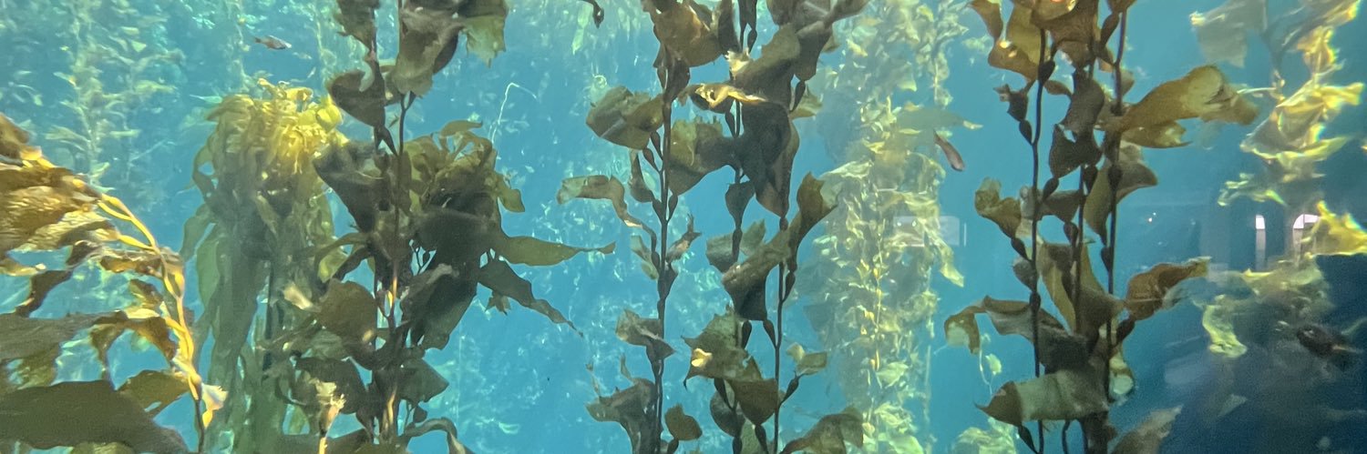 Lightmarewhahahah banner