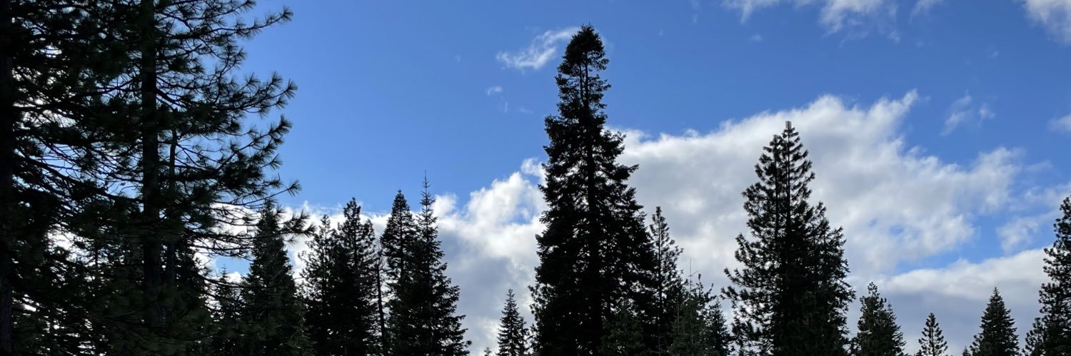 brosareyes's profile banner image