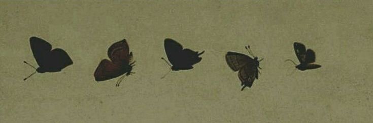 Drew || (-26/35) banner