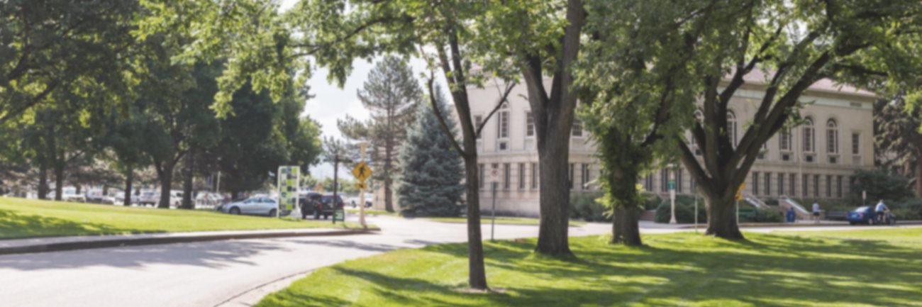 toptradeschool's profile banner image