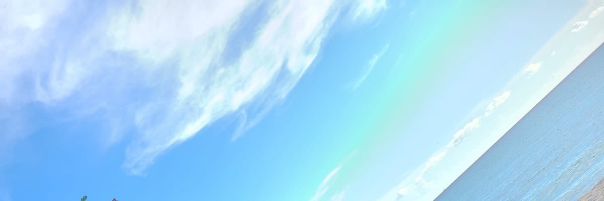 LauEsteff's profile banner image