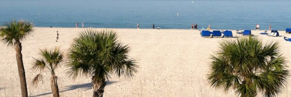 NC_Principal Profile Banner