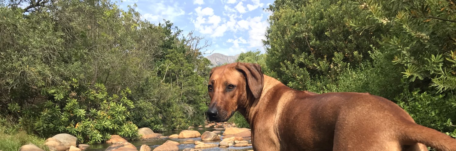 ahallaby's profile banner image