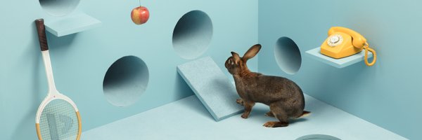 init7 Profile Banner