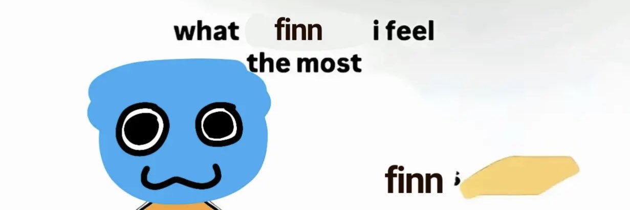 finn's banner