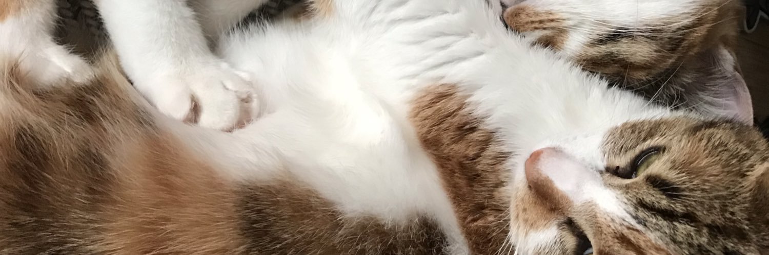 あゆ（ﾖﾖ） banner