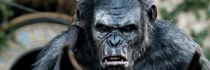 N ΩRM RegulaR banner