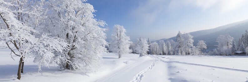 Lic. Uidpaper banner