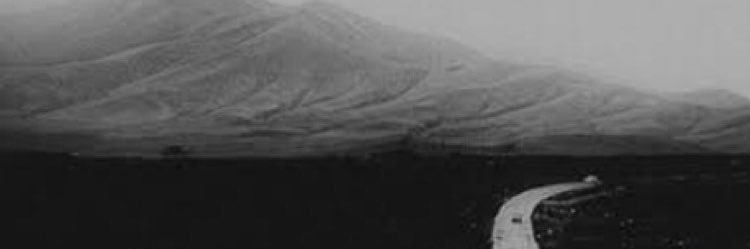 quicon01's profile banner image
