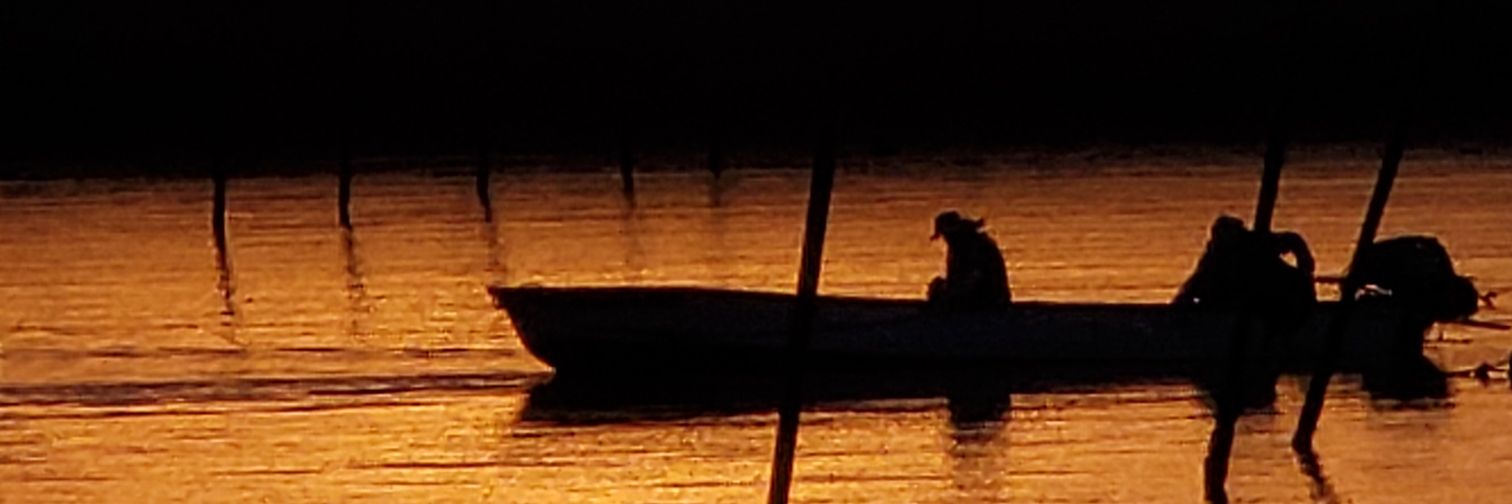 あしたわまる banner