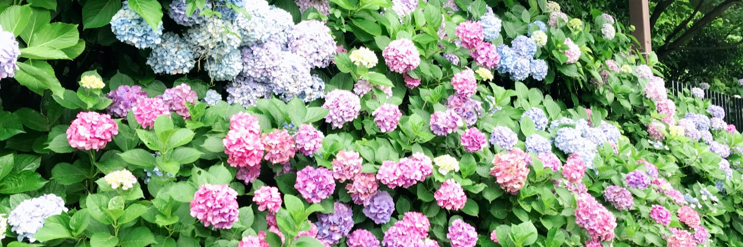 amz_2033's profile banner image