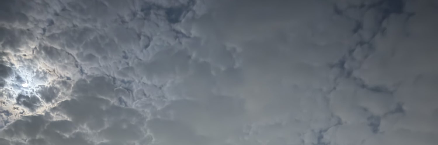 sln166133's profile banner image