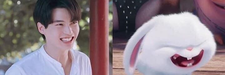 stypez. phikhab 💞 banner
