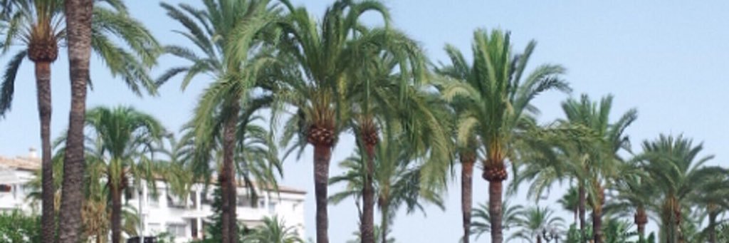 ForeverMandyW's profile banner image