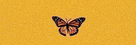 kbaasss's profile banner image