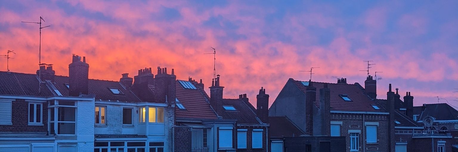 VynsC's profile banner image