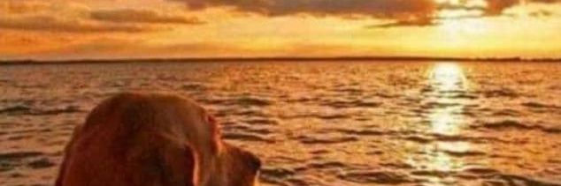 Epicfaniaas's profile banner image