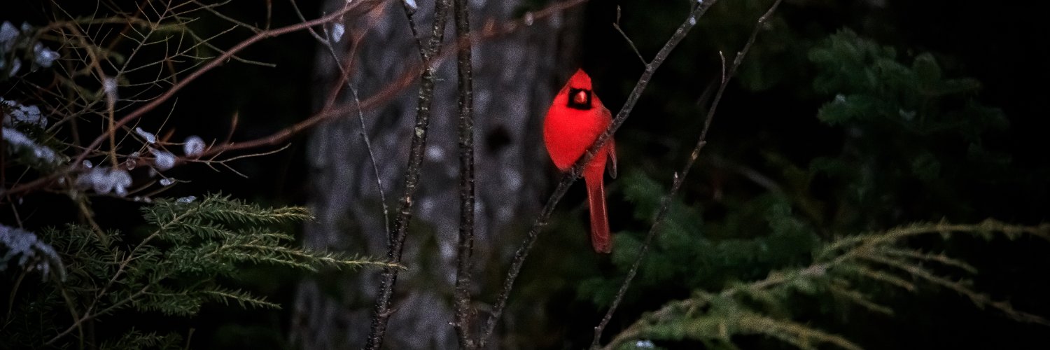 jeffreysmith76's profile banner image