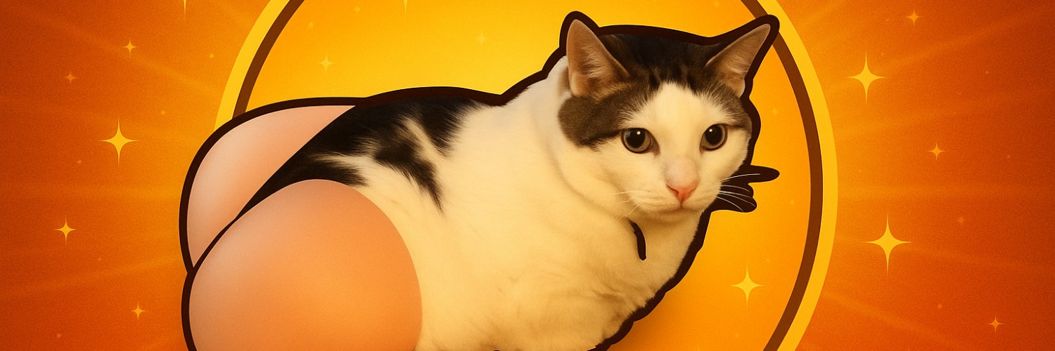 CATASS banner