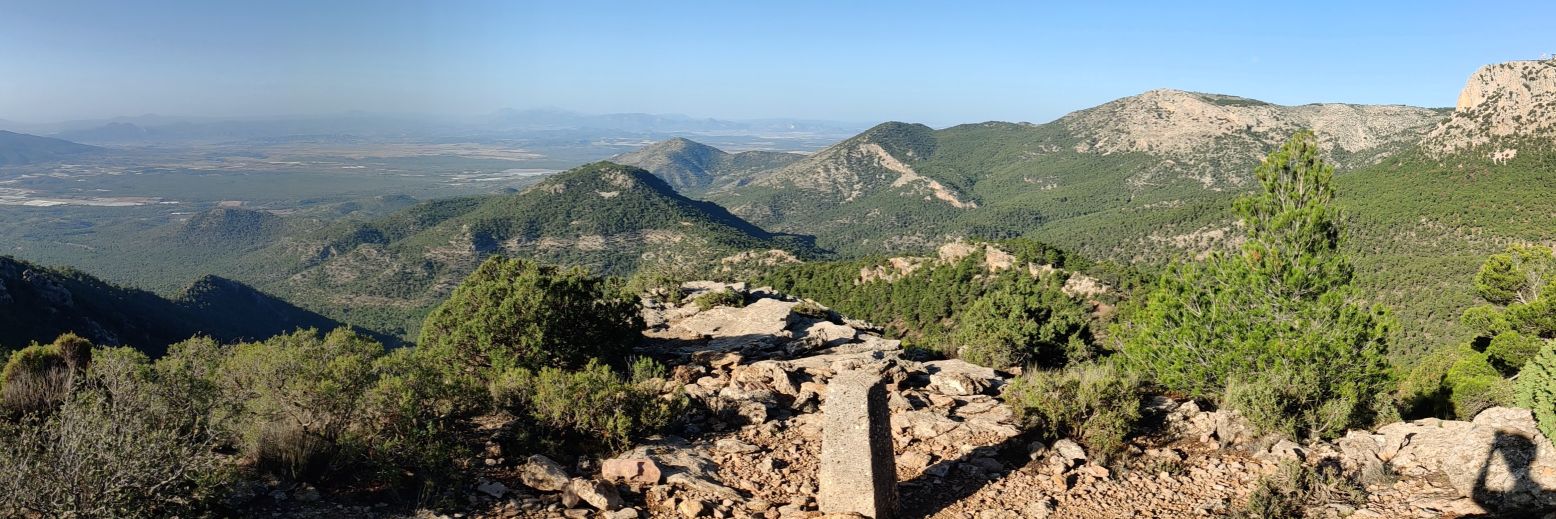 Sergio 🌱🏳️‍🌈 banner