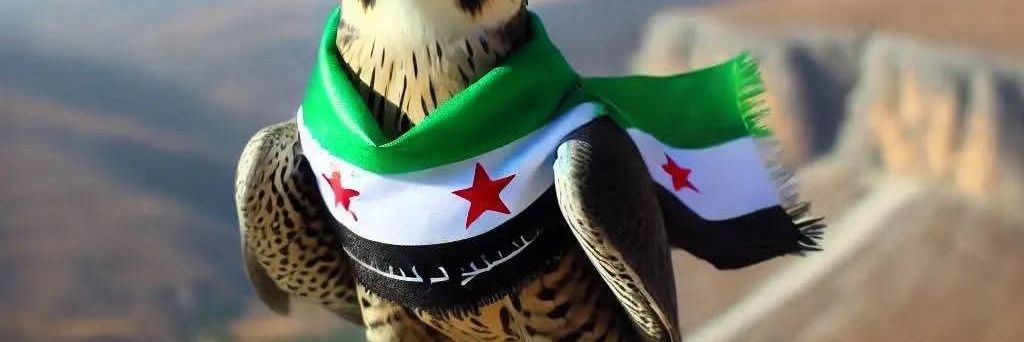 𝐎𝐒𝐀𝐌𝐀🦅𝐎𝐒𝐀𝐌𝐀 banner