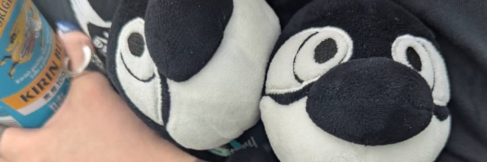 🐉なっしぃ🎯DYNASTY banner