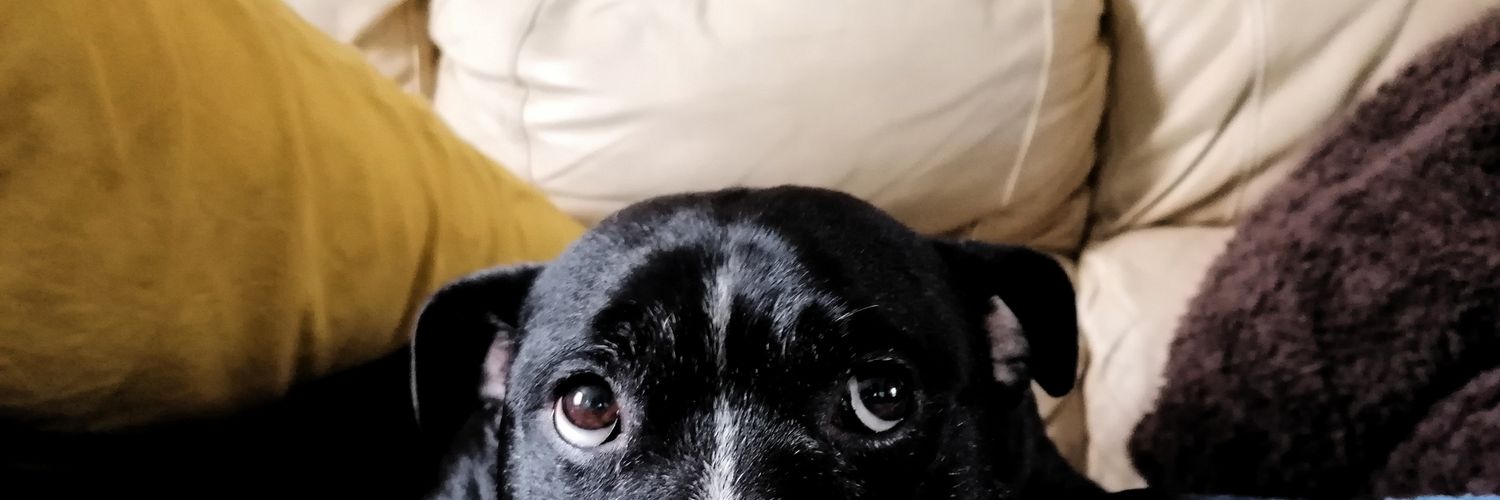 Jonny Lee 6️⃣ 9️⃣ Esq. banner