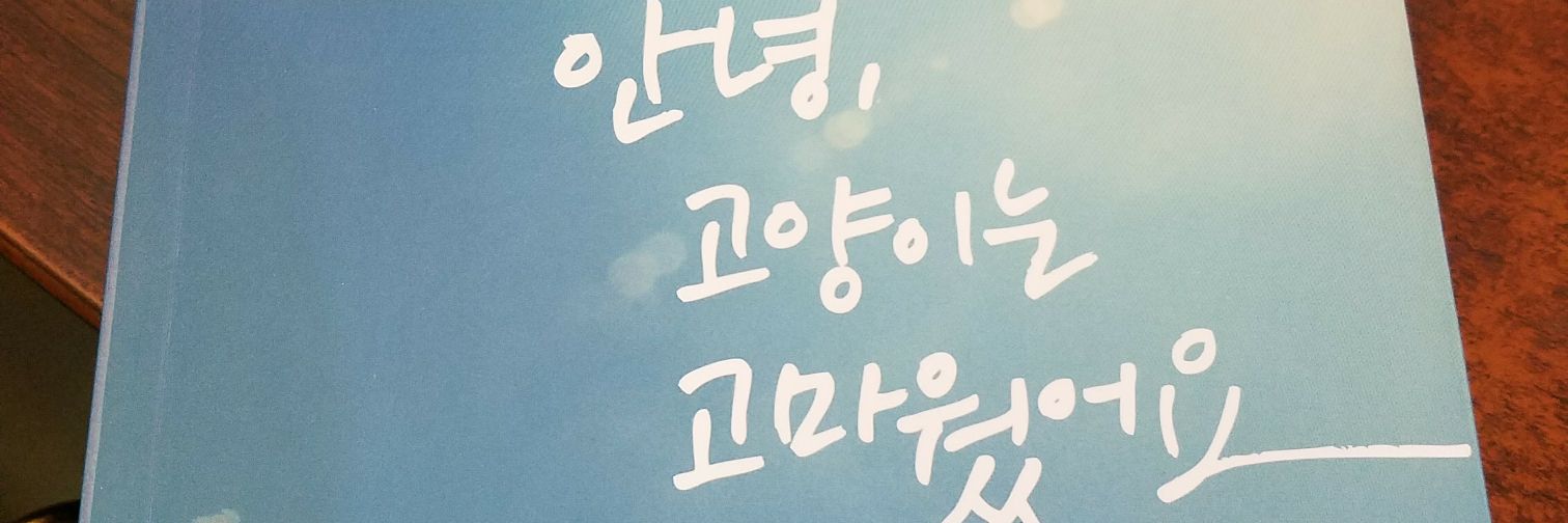 luna_solu's profile banner image