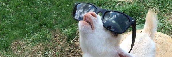 AmandaGorell's profile banner image