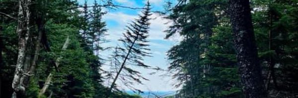 mcsteele_oh Profile Banner