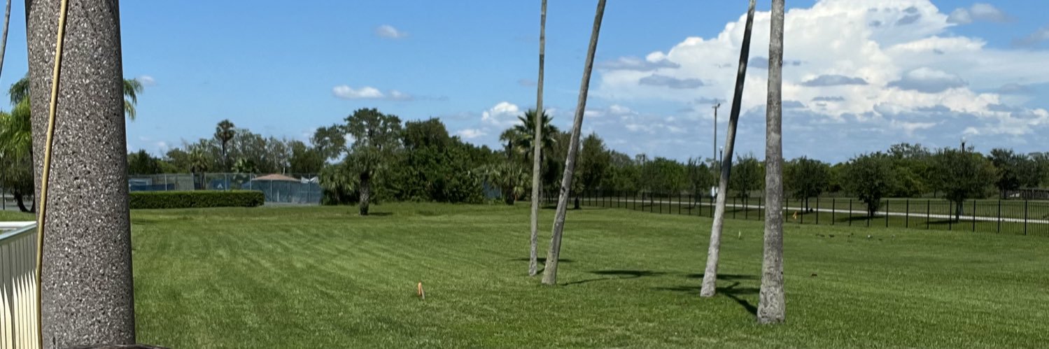 gregsdclearwater banner