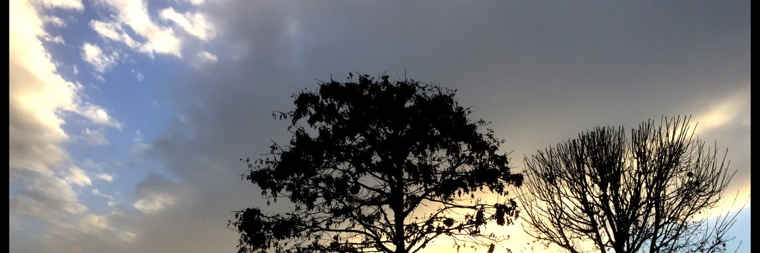 frankgander's profile banner image