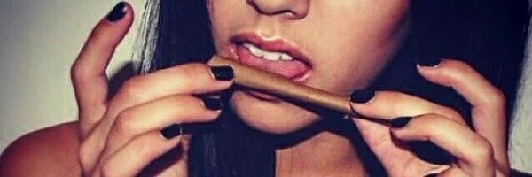 hypha_BMR Profile Banner