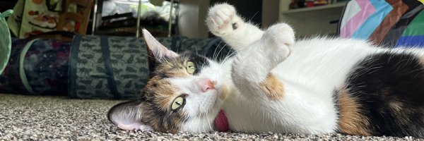 clam_time Profile Banner