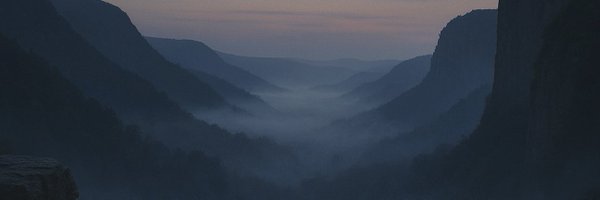Disnomio Profile Banner